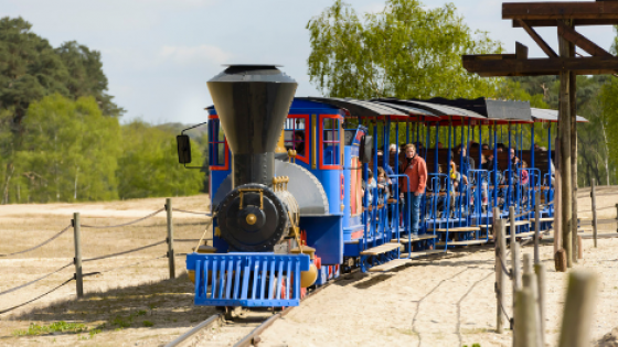 le-train-des-sables